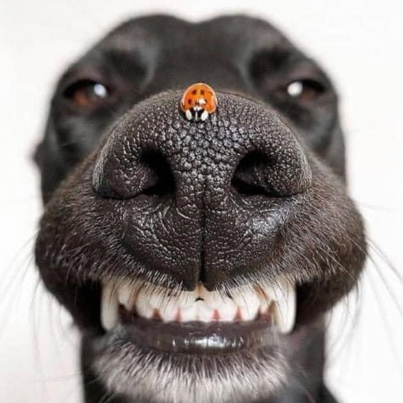 Meet your Posher, Kimberly - Picture 1 of 1